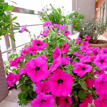 Apartmán Galeria Tirana