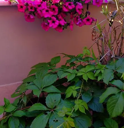 Galeria Apartmán Tirana