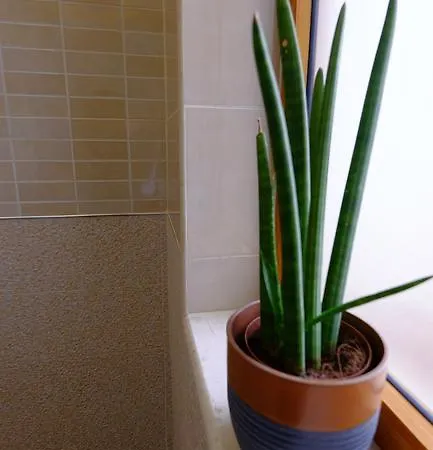 Апартаменты Galeria Тирана