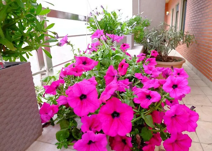 Διαμέρισμα Galeria Τίρανα