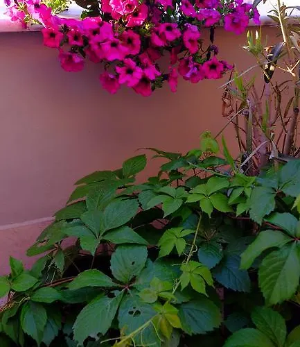 Galeria Apartment Tirana