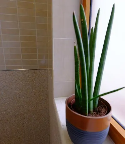 Διαμέρισμα Galeria Τίρανα