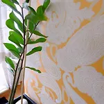 Apartment Galeria Tirana