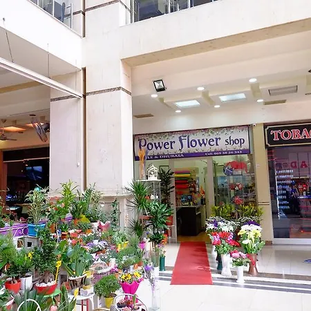 Galeria * Tirana