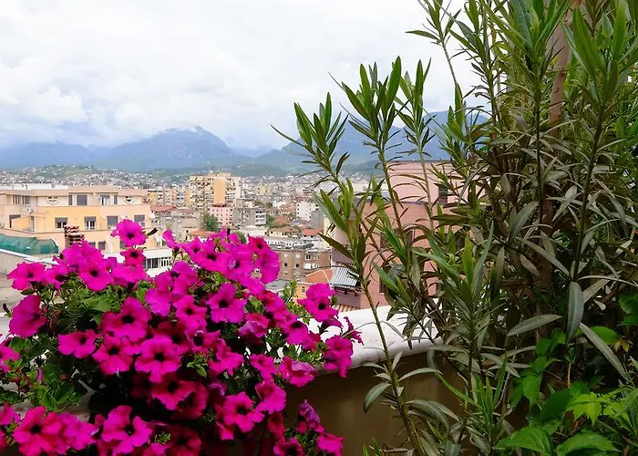 Galeria ティラナ