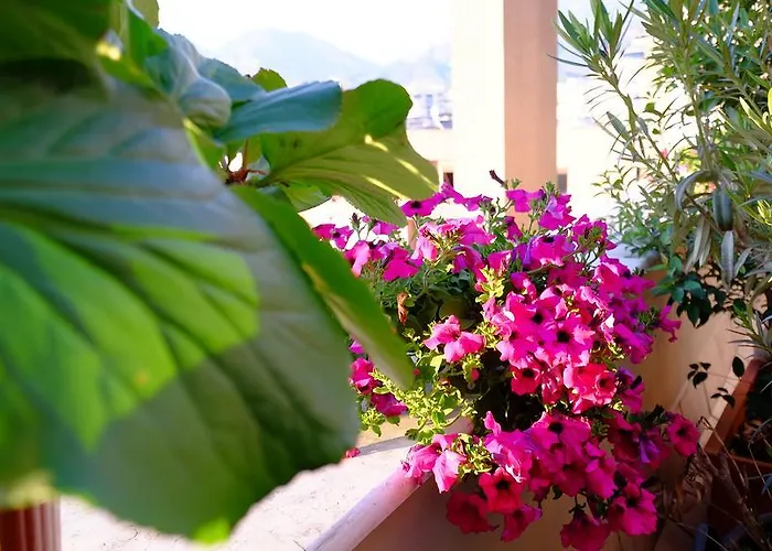 アパート Galeria